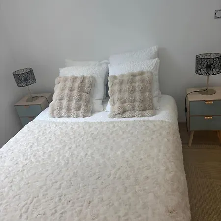 Les Orchidees Et Les Marguerites * ルルド